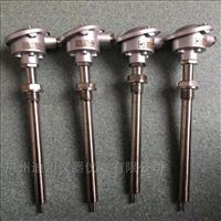 wzp赫(hè)斯曼溫(wen)度傳感(gan)器